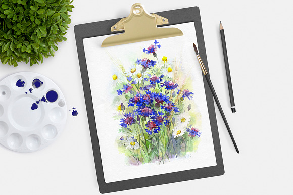 SALE! Watercolor meadow flowers in Illustrations - product preview 1