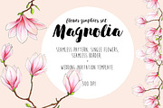 Magnolia flower graphics set