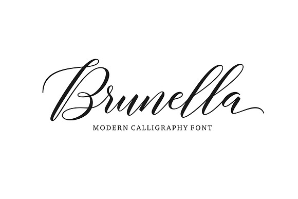 Font Collection | 29 Fonts in Cursive Fonts - product preview 52