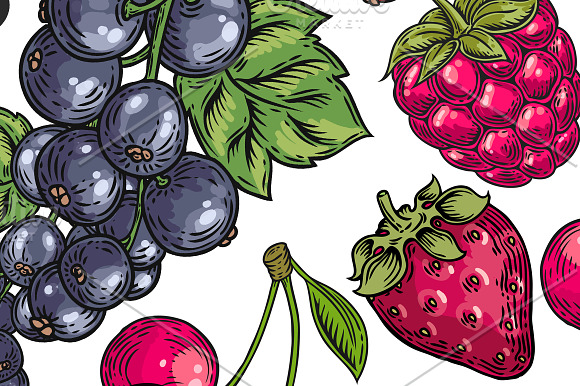 Berry hand drawn set, patterns in Illustrations - product preview 1