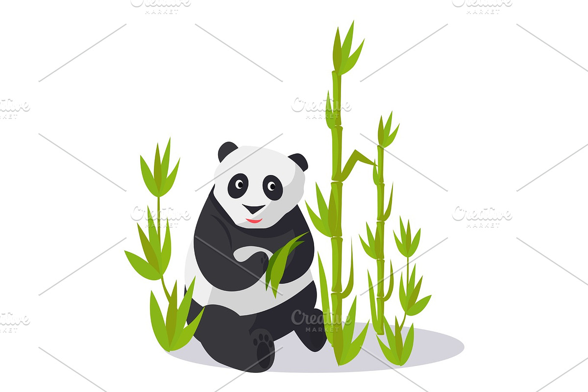 Panda Sitting between Bamboo Holds Green Leaves in Illustrations - product preview 8