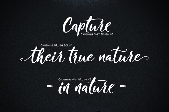 Crushine Wet Brush in Script Fonts - product preview 9
