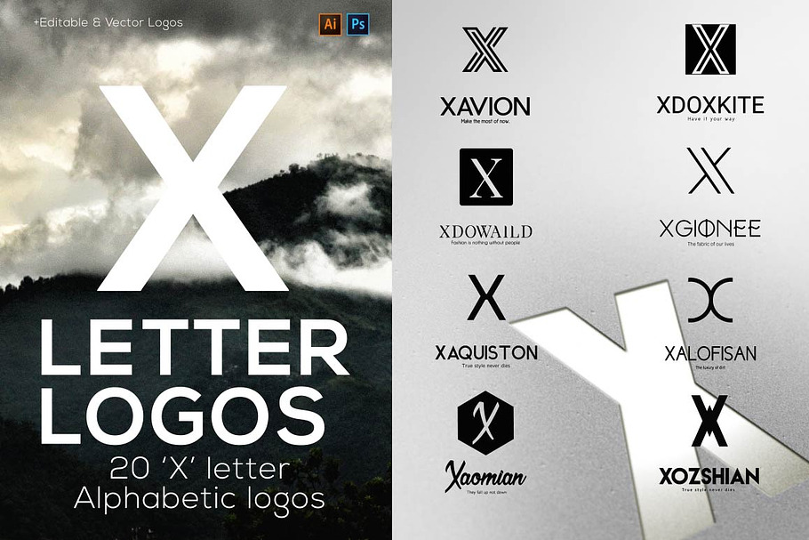 20 "X" Letter Alphabetic Logos in Logo Templates - product preview 8