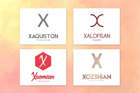 20 "X" Letter Alphabetic Logos in Logo Templates - product preview 4