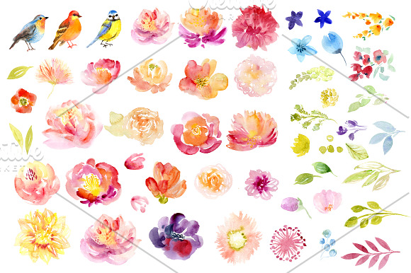 Watercolor Floral Clip Art in Illustrations - product preview 1