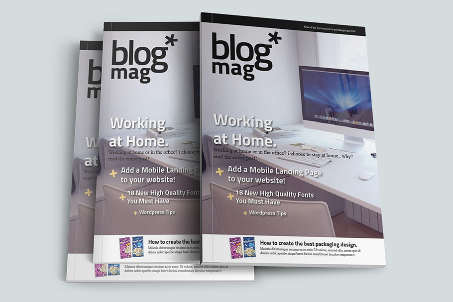 BlogMag Print Magazine Blog Style in Magazine Templates - product preview 8