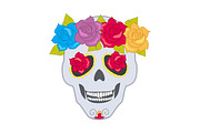 Human Skull and Flower Wreath. Isolated Cranium