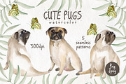 Cute pugs. Watercolor