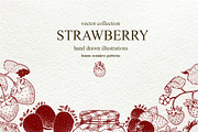 Strawberry Vector Collection