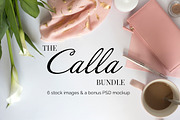 The Calla Bundle (with bonus PDS)
