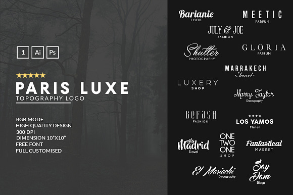 Paris Luxe Typography Logo in Logo Templates - product preview 5