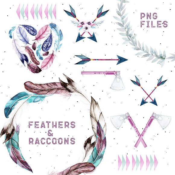 Watercolor Feathers & Raccoons in Illustrations - product preview 2
