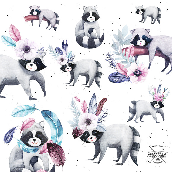Watercolor Feathers & Raccoons in Illustrations - product preview 3