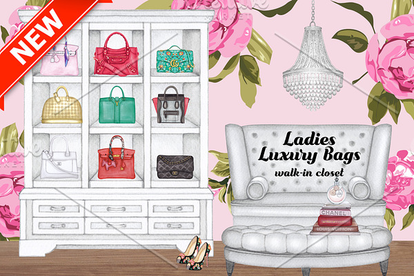 Ladies Luxury Bags walk-in closet