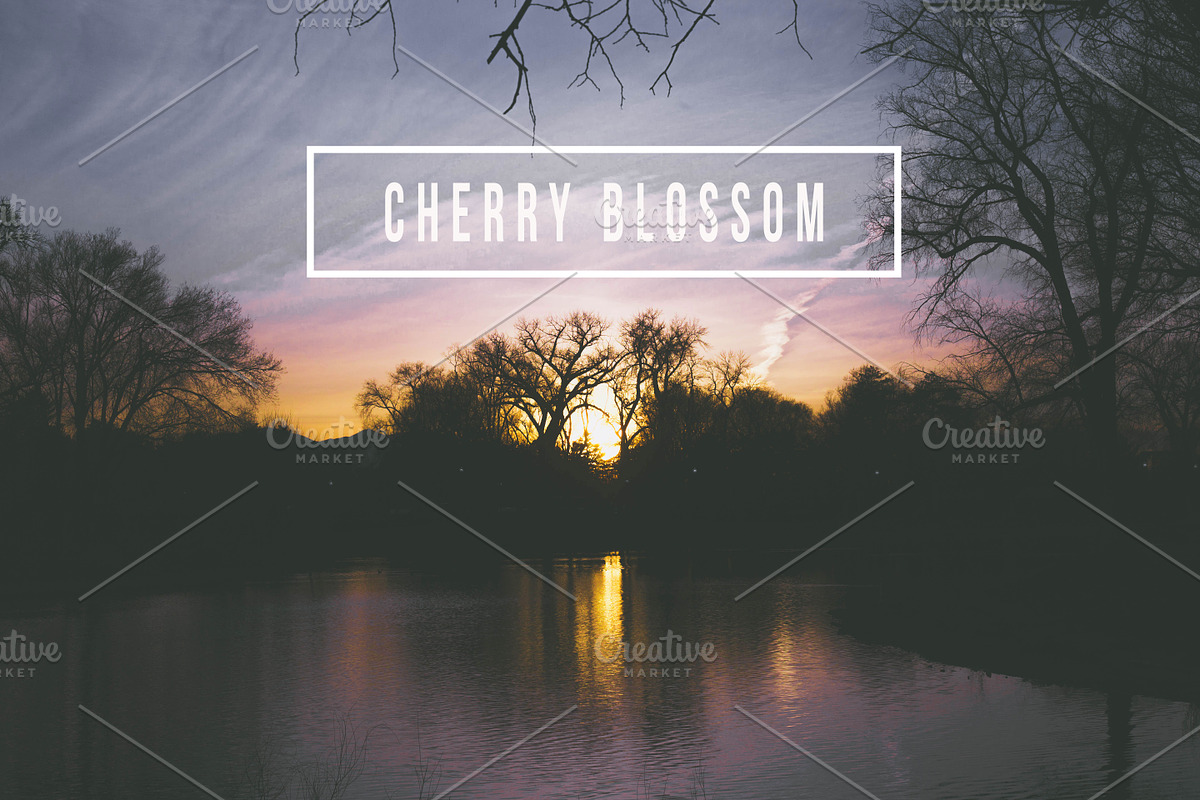 LR Preset- Cherry Blossom Sunset in Add-Ons - product preview 8