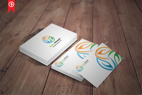 Nature Leaf - Logo Template in Logo Templates - product preview 4