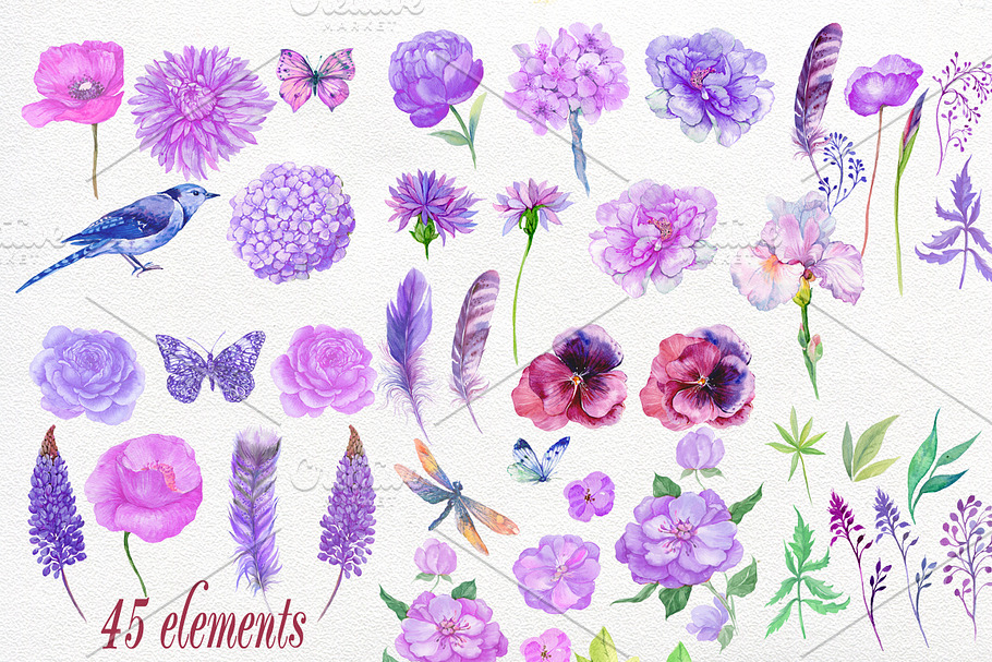 watercolor clipart. violet flowers