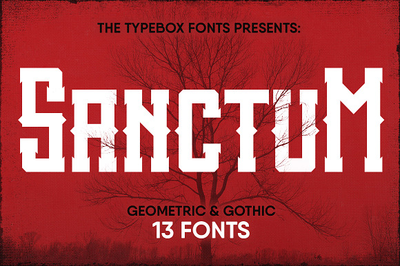 Sanctum Font Pack in Display Fonts - product preview 3