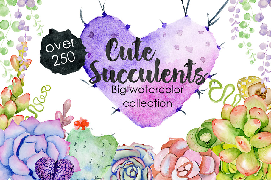 Succulents & Cactuses in Illustrations - product preview 8