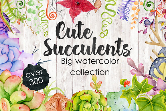 Succulents & Cactuses in Illustrations - product preview 1