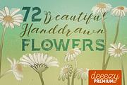 72 Watercolor Meadow Flowers