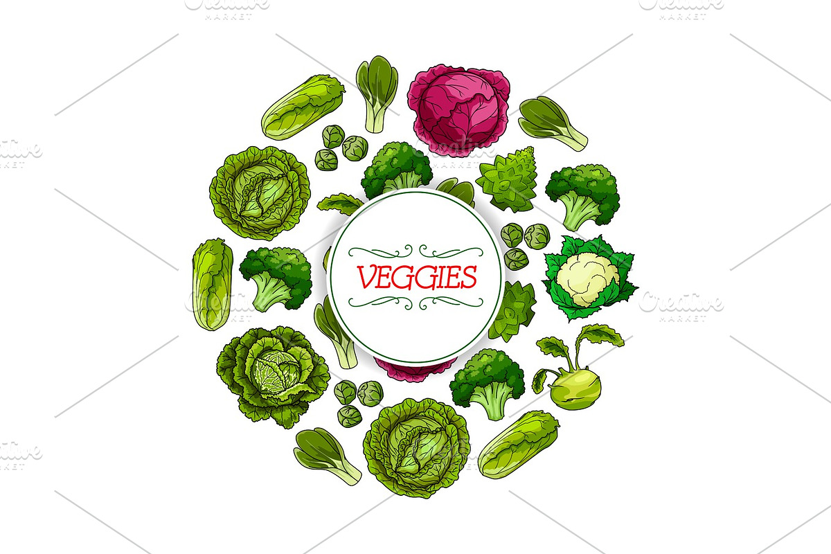 Vegetable round symbol with cabbage veggies in Illustrations - product preview 8