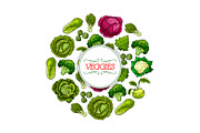 Vegetable round symbol with cabbage veggies
