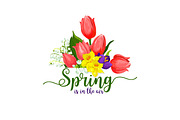 Spring holidays vector tulips flowers bouquet