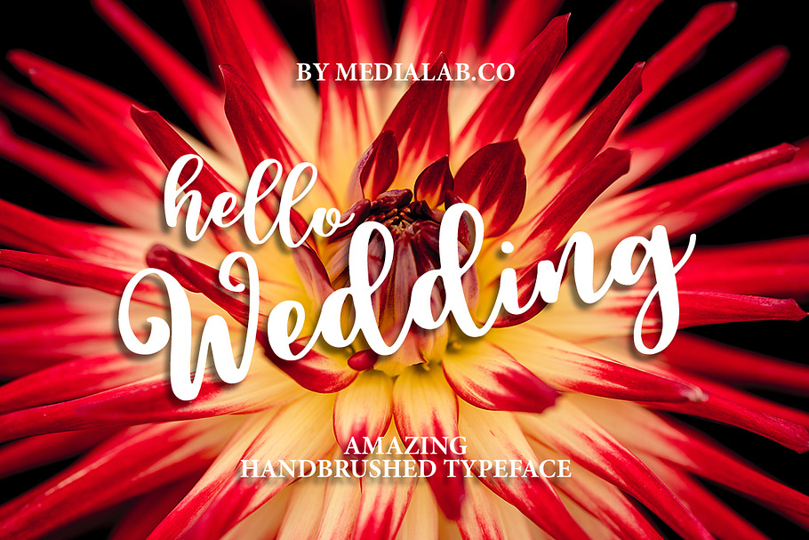 Hello Wedding in Script Fonts - product preview 8