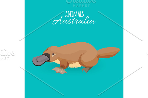 Australia animal brown crawling duckbilled platypus isolated on azure background