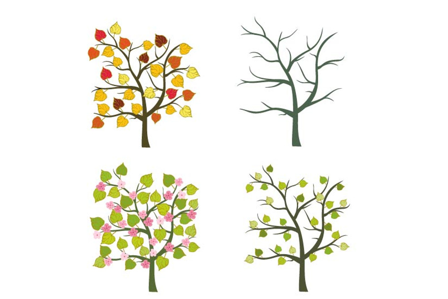 Trees seasons vector set