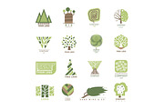 Vector tree wood oak design element badge modern forest label and templates nature label for your business eco graphic plant illustration.