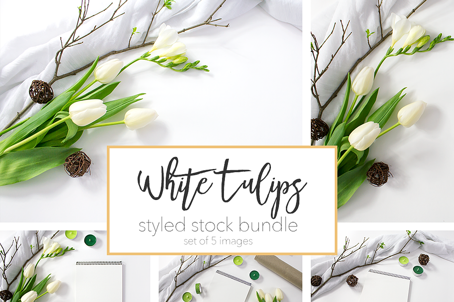 White Tulips Styled Stock Bundle