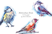 Watercolour Birds 3 set of jpg's