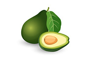 Ripe avocado cut in half with leaf vector illustration.