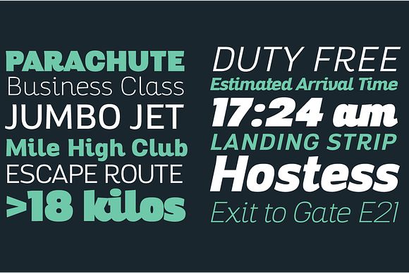 Altair - 14 Fonts in Sans-Serif Fonts - product preview 5