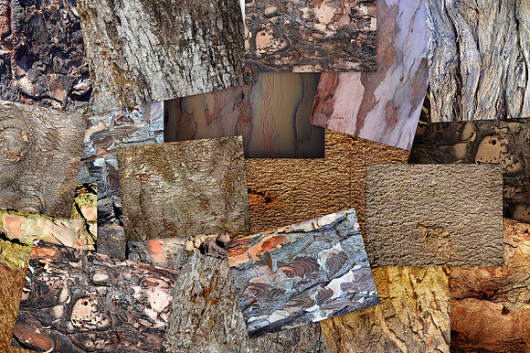 20 Bark Textures Pack in Textures - product preview 1