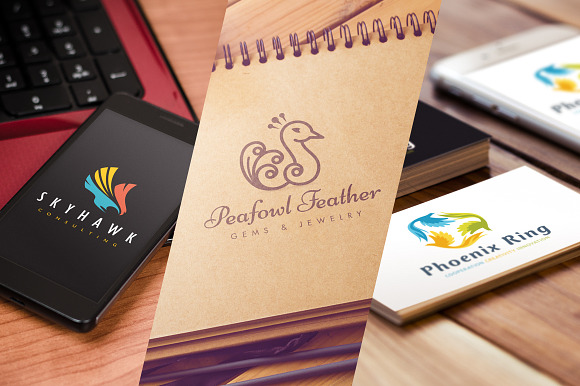 Logo Bundle Vol.2 - Stylized Birds in Logo Templates - product preview 4