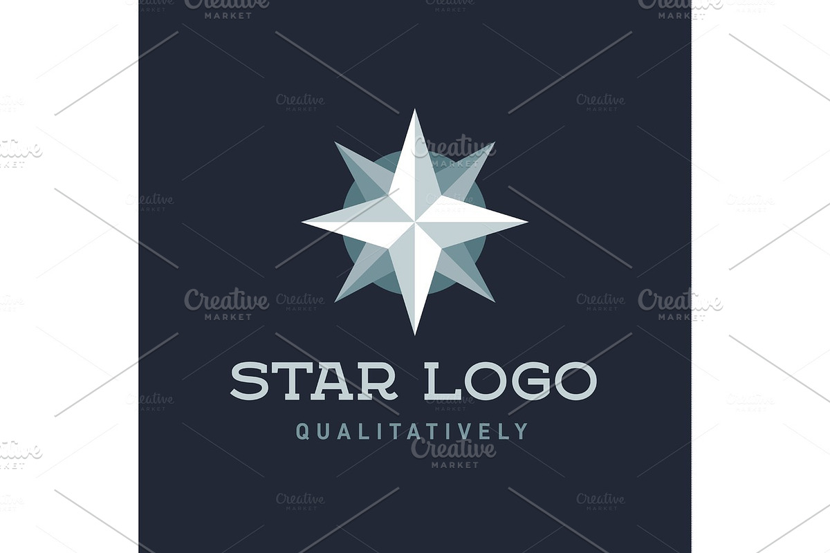 Star Polaris sharp white flat style lights twinkle quality mark logo icon modern vetore in Logo Templates - product preview 8