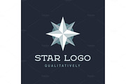 Star Polaris sharp white flat style lights twinkle quality mark logo icon modern vetore