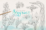 Seagrasses pencil drawings clip art