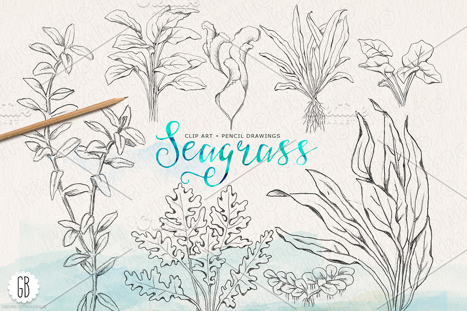 Vintage inspired seagrasses original