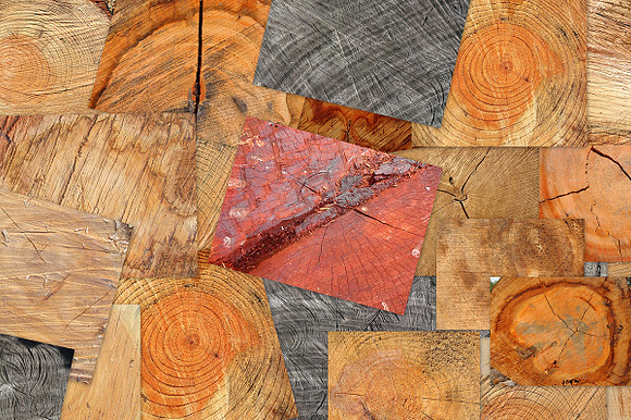 20 Tree End Textures in Textures - product preview 1