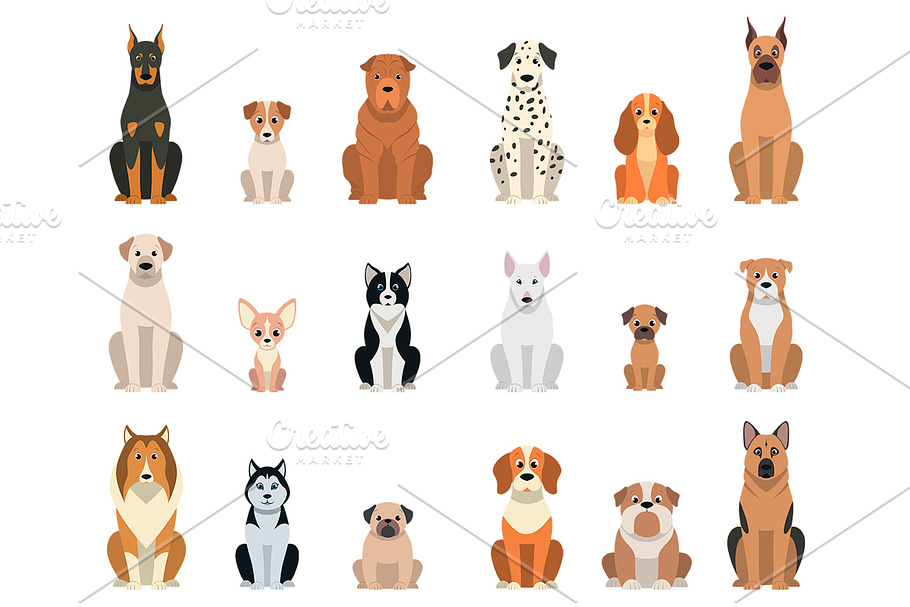 Set vector dogs