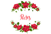 Decorative elements with red roses. Beautiful realistic flowers, buds and leaves