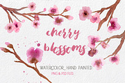 Cherry Blossoms- Watercolor clipart 