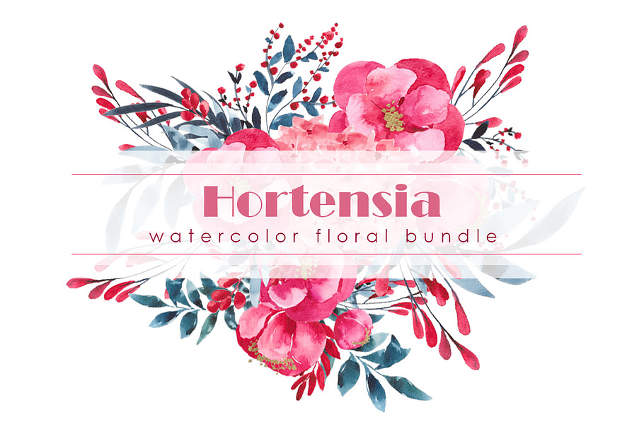 Hortensia - Watercolor floral bundle