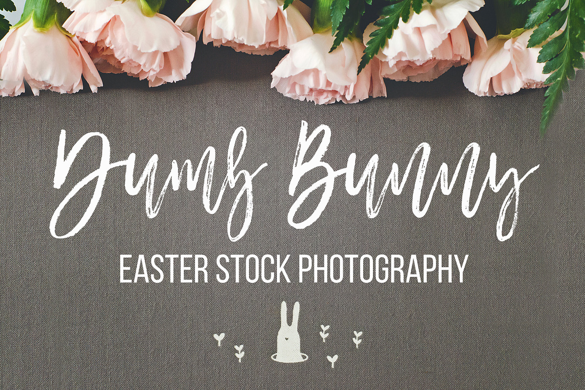 Dumb Bunny Easter Stock Photography in Mockup Templates - product preview 8