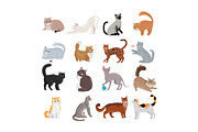 Set of Icons with Cats. Flat Design Vector.