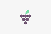 Abstract fruit leaf vector logo symbol icon. Wine grape idea logotype. Health fresh creative sign.